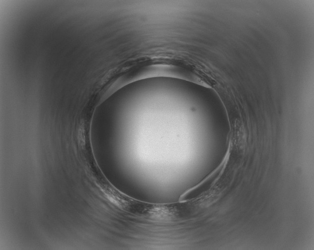 X0000075350562200609151614