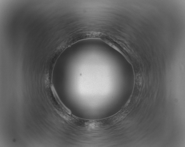 X0000075350564200609151614