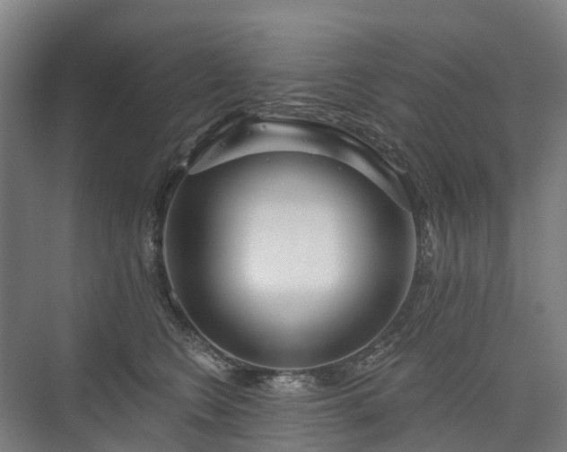 X0000075350566200609151614