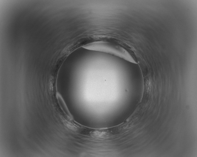 X0000075350570200609151614