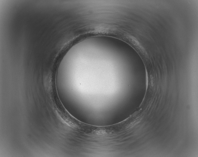X0000075350588200609151613
