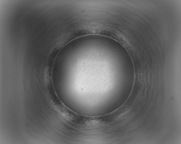 X0000075350594200609151613