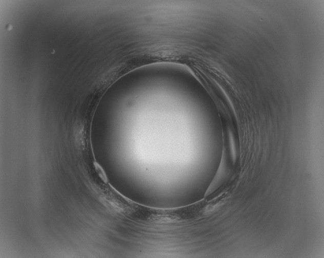 X0000075350597200609151613