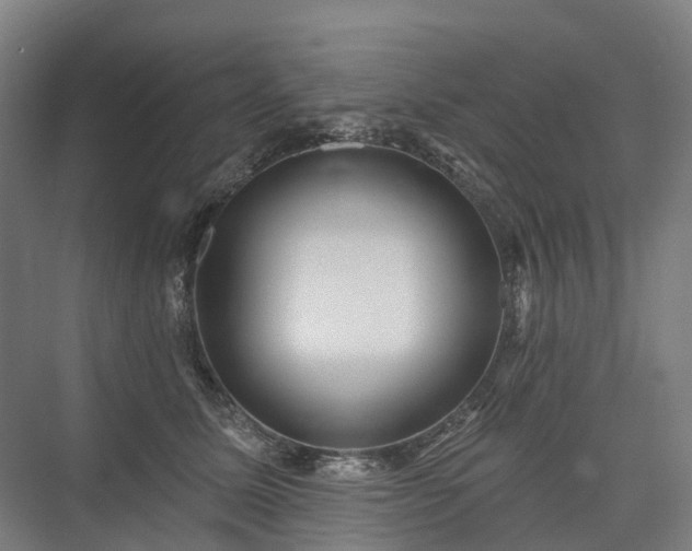 X0000075350611200609151613