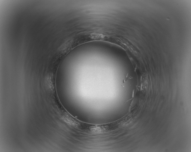 X0000075350616200609151612