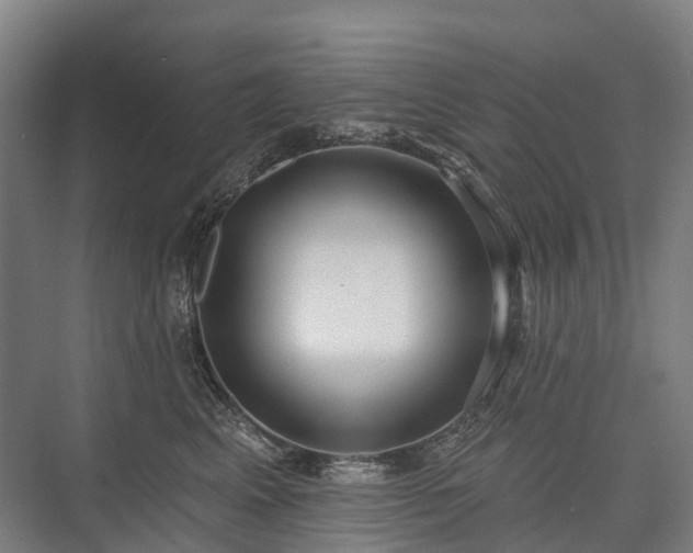 X0000075350617200609151612