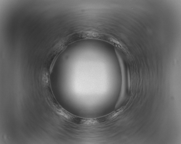 X0000075350621200609151612