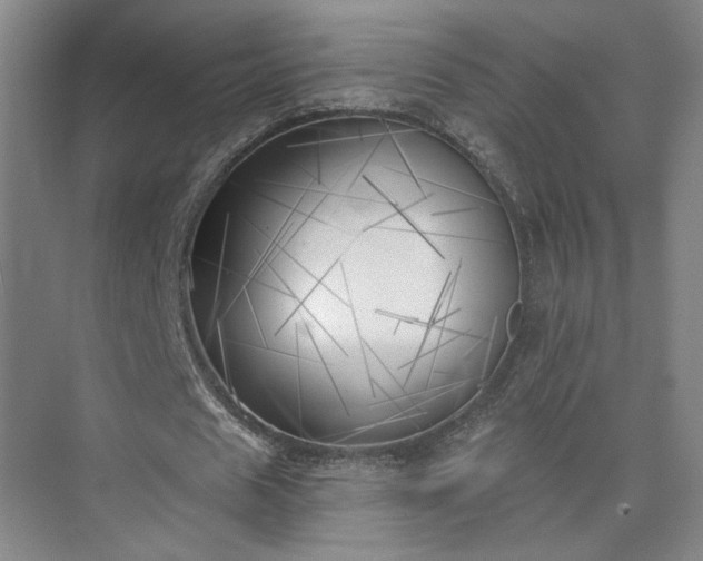 X0000075350625200609151611