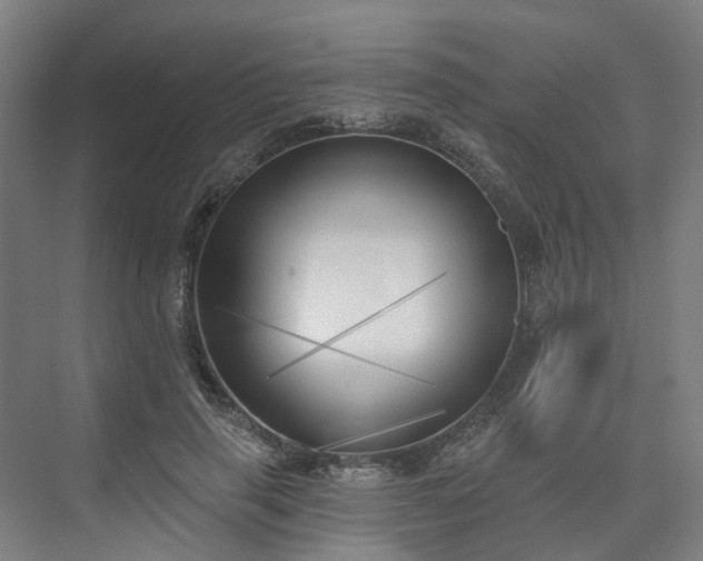 X0000075350645200609151612
