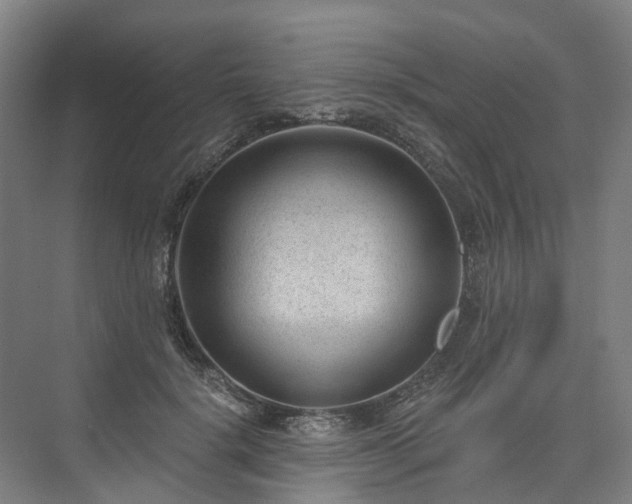 X0000075350652200609151612