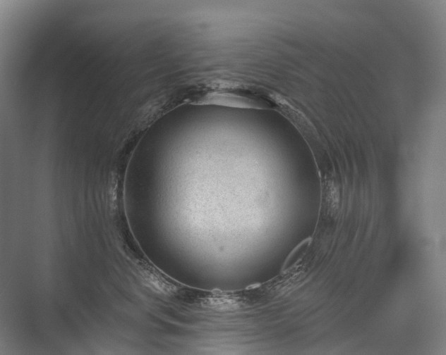 X0000075350668200609151612