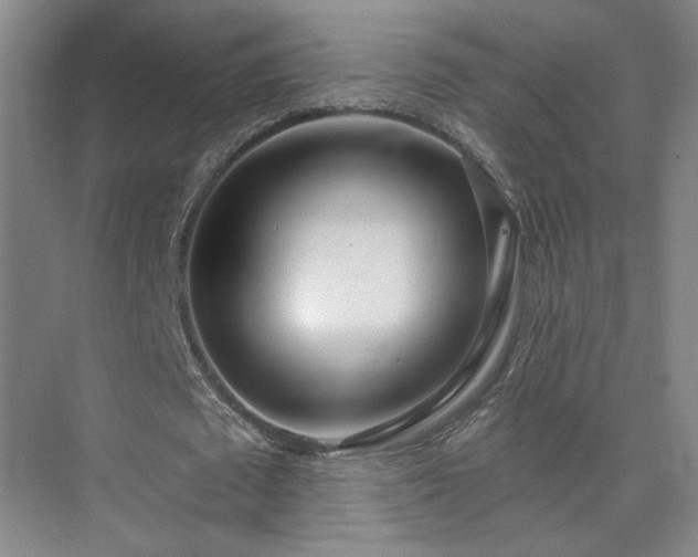 X0000075350673200609151611