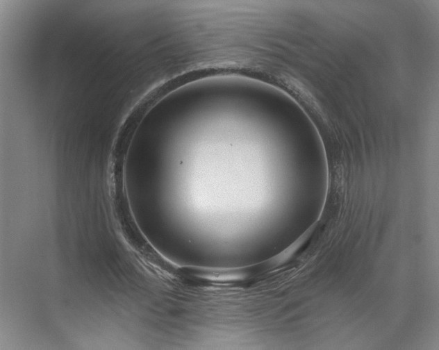 X0000075350676200609151611