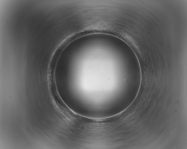 X0000075350680200609151611