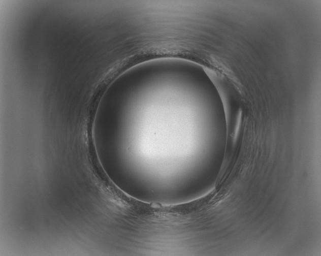 X0000075350681200609151611