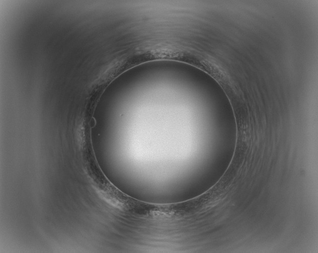X0000075350690200609151611