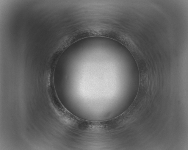 X0000075350694200609151611