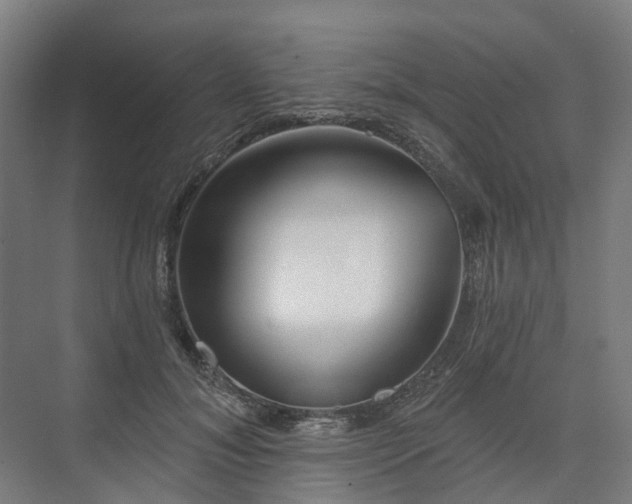 X0000075350700200609151611