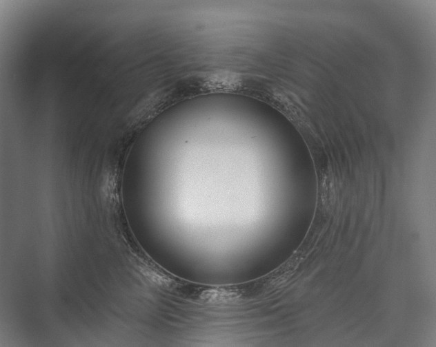 X0000075350714200609151611
