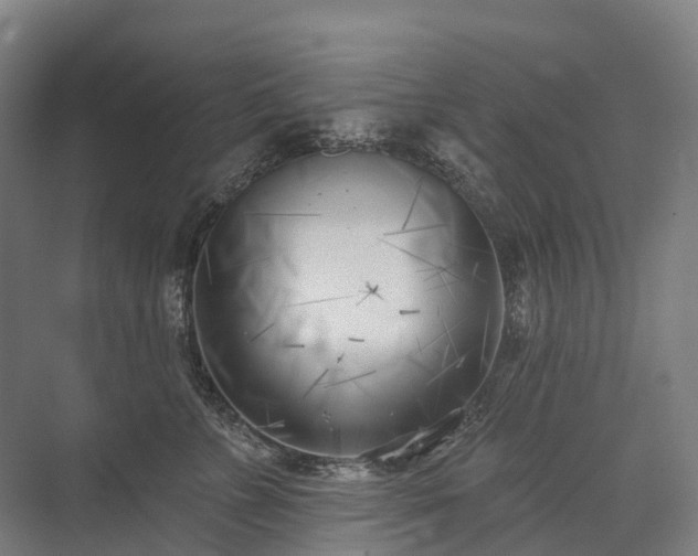 X0000075350715200609151611