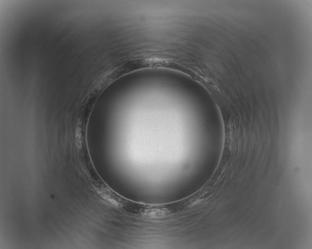 X0000075350716200609151611