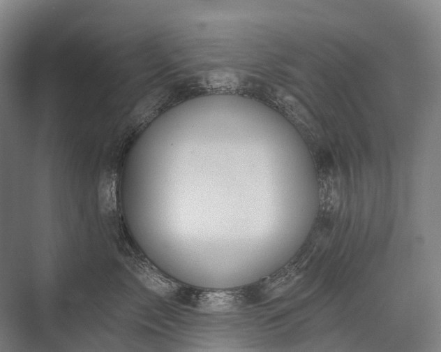 X0000075350717200609151611