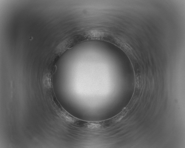 X0000075350718200609151611