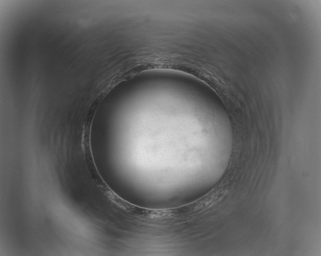 X0000075350720200609151611