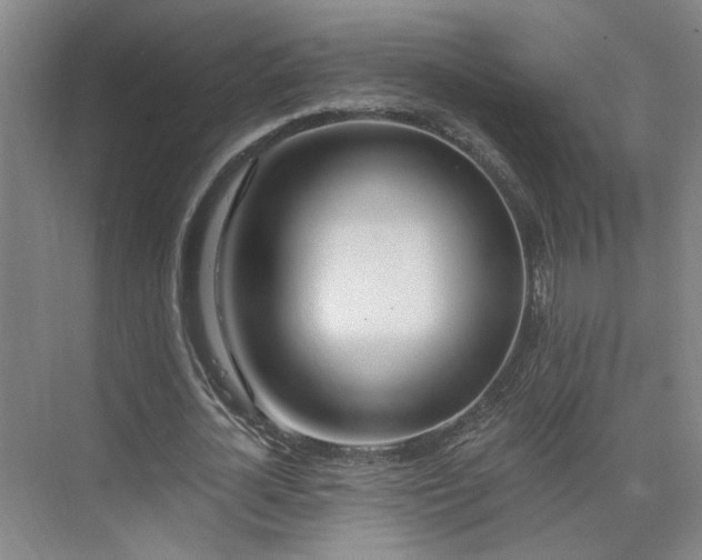 X0000075350724200609151610