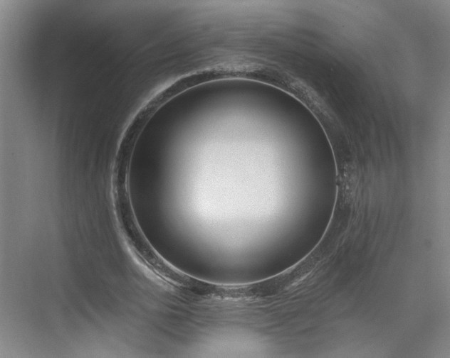 X0000075350726200609151610