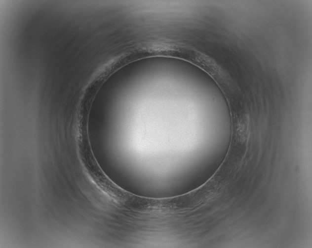 X0000075350732200609151610
