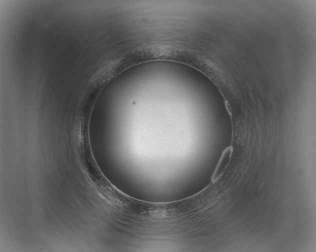 X0000075350740200609151610