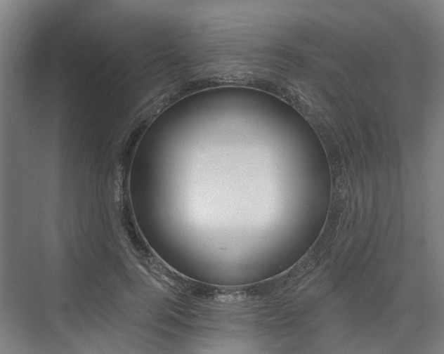 X0000075350744200609151610