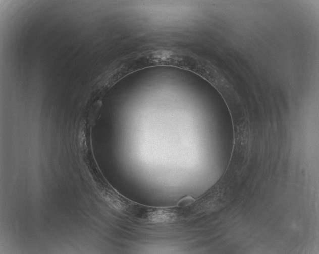 X0000075350754200609151610
