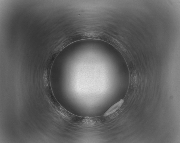 X0000075350764200609151611