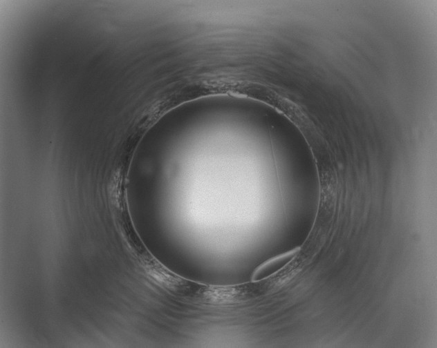 X0000075350767200609151611