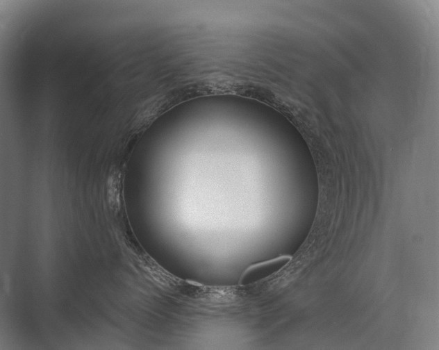 X0000075350768200609151611