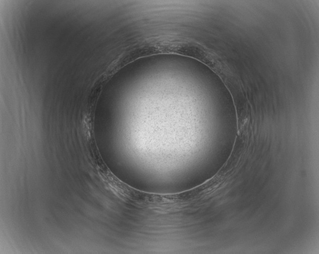 X0000075350772200609151610