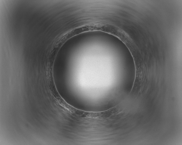 X0000075350773200609151610