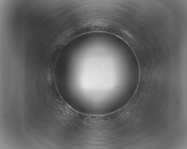 X0000075350774200609151610