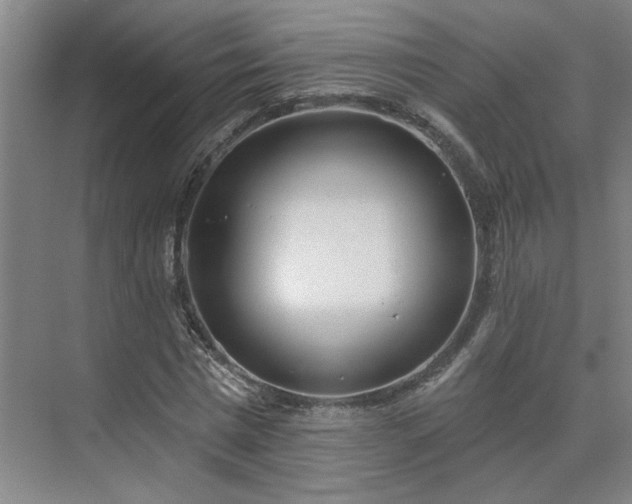 X0000075350777200609151610