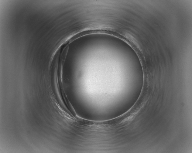 X0000075350781200609151610