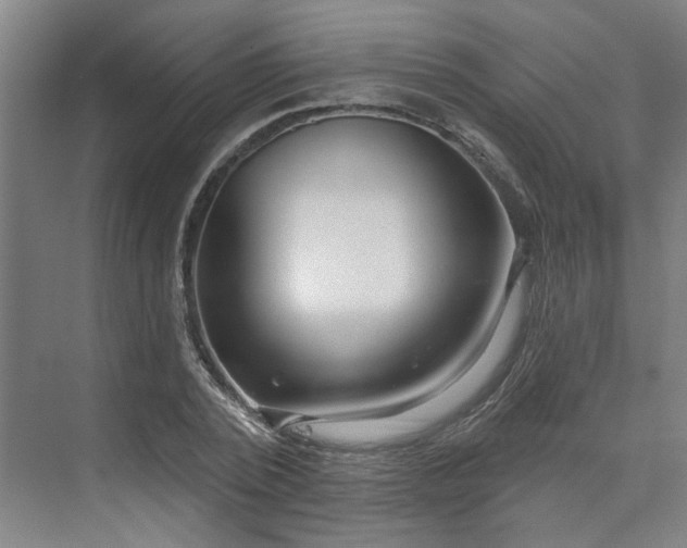X0000075350784200609151610
