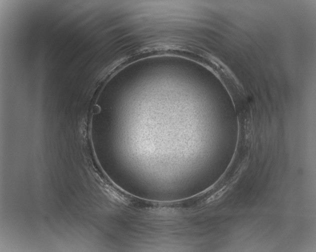 X0000075350785200609151610