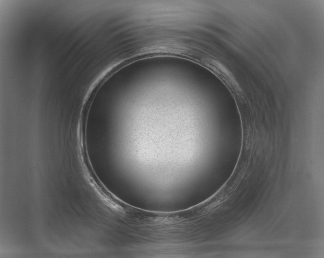 X0000075350796200609151609