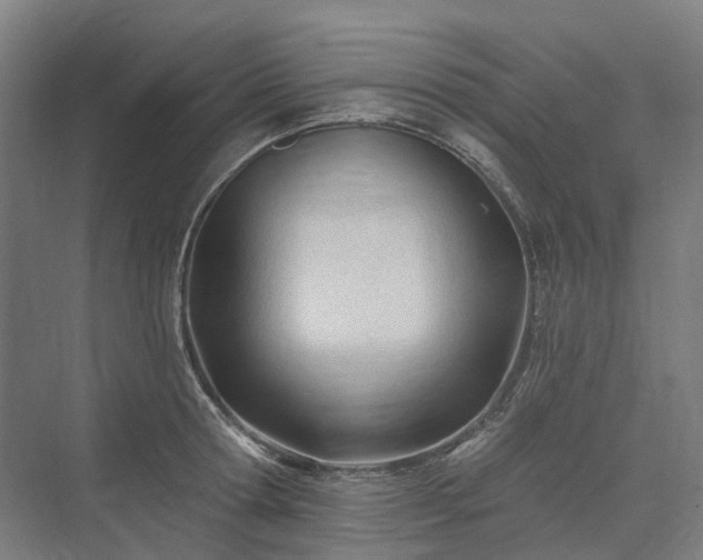 X0000075350802200609151609