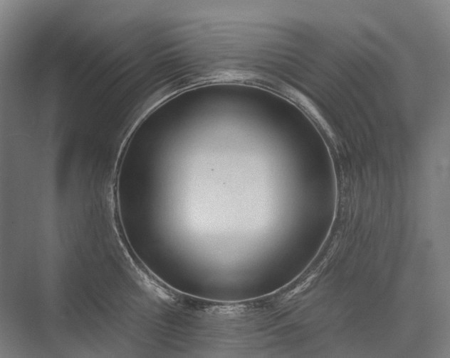 X0000075350810200609151609