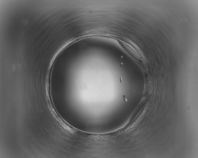 X0000075350812200609151609