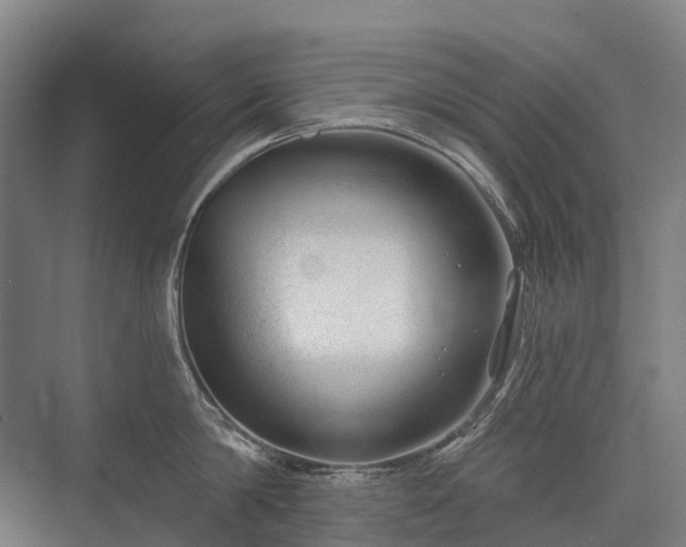 X0000075350814200609151609