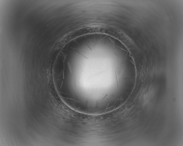 X0000075350821200609151608